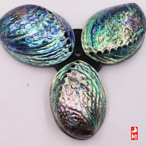 鮑魚殼里的山海經 當一件食余之物，成為收納記憶的詩意容器