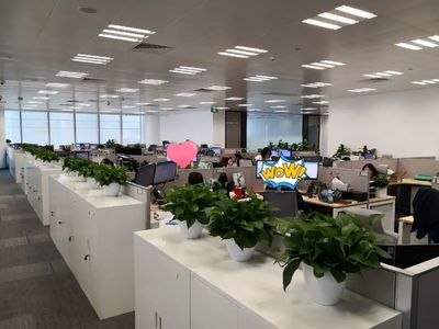 喬遷大吉！級掌柜新辦公空間全面揭秘，科技與舒適完美融合